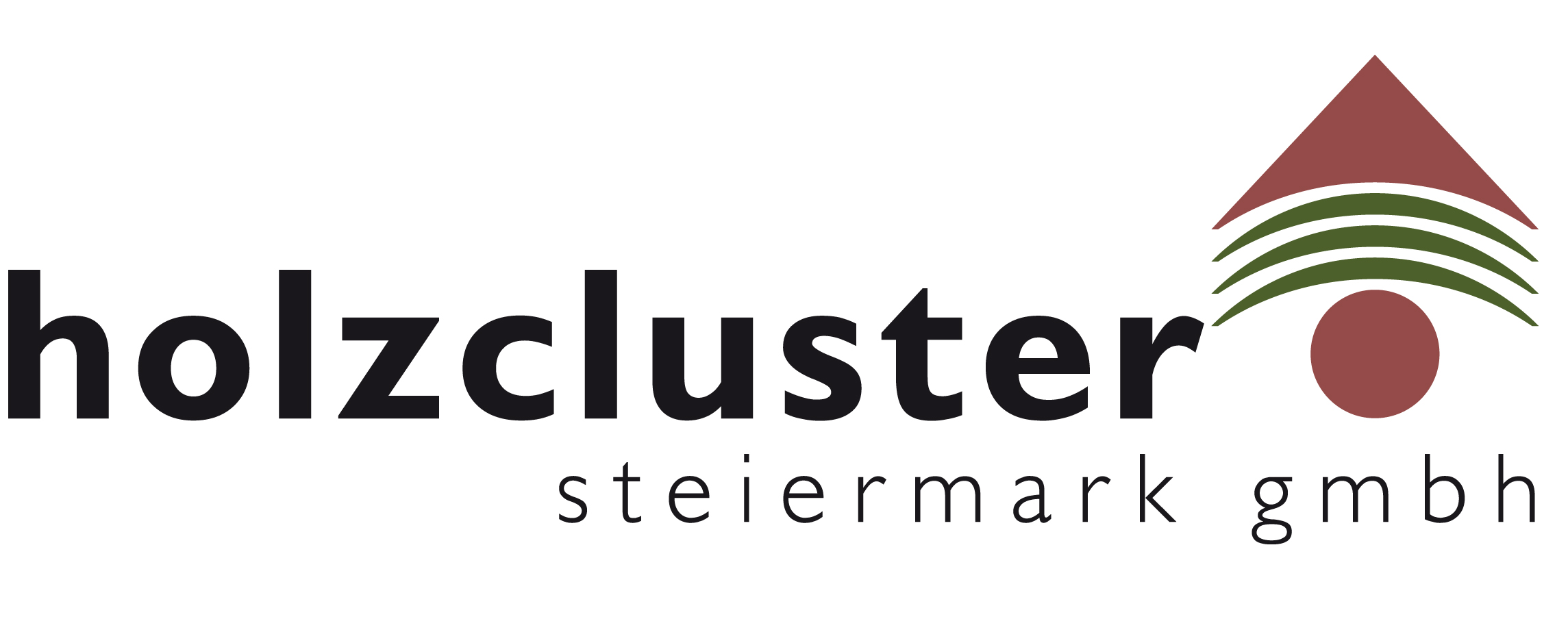 Holzcluster-Steiermark